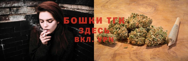 дмт Инта