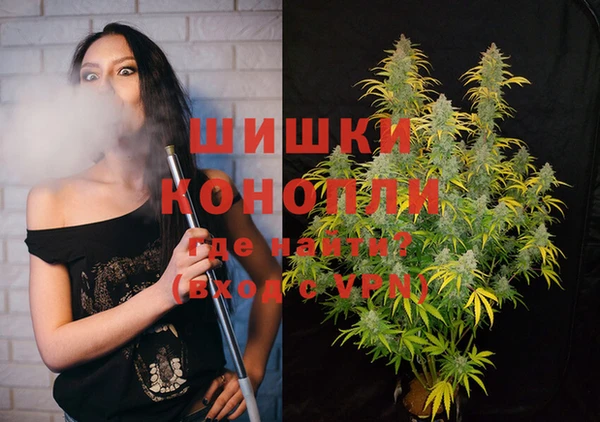 гидропоника Иннополис