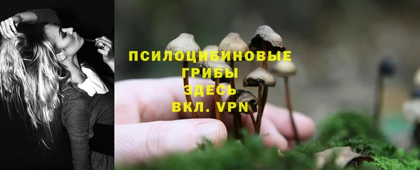 дмт Инта