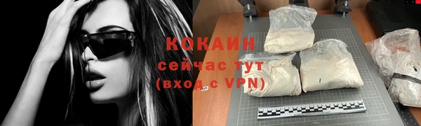 Альфа ПВП Инсар