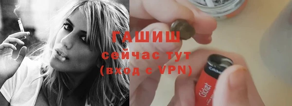 дмт Инта