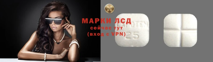 дмт Инта