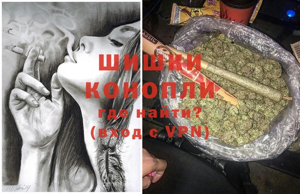дмт Инта