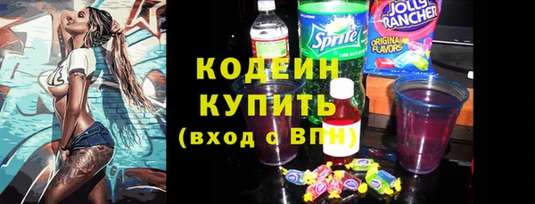 дмт Инта