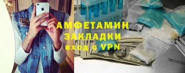 дмт Инта