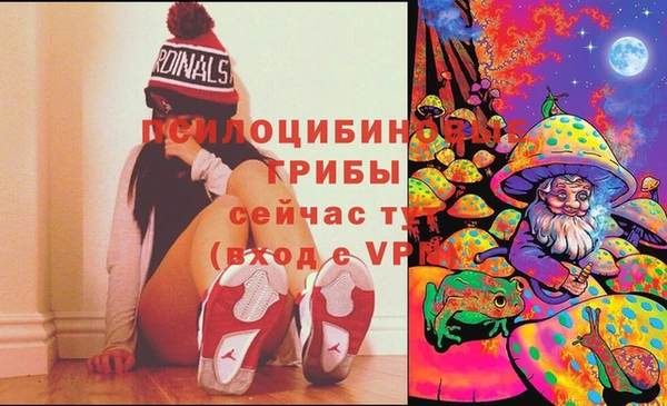 ГАЛЛЮЦИНОГЕННЫЕ ГРИБЫ Фурманов