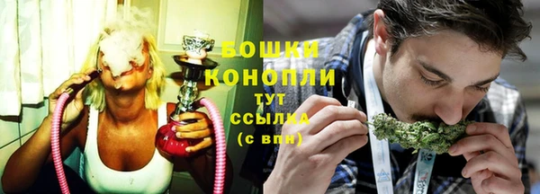 Альфа ПВП Инсар