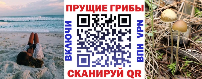 Галлюциногенные грибы MAGIC MUSHROOMS  Купить  Коряжма 